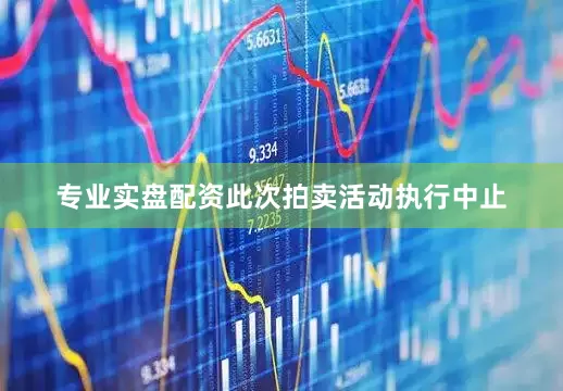 专业实盘配资此次拍卖活动执行中止