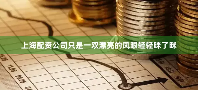 上海配资公司只是一双漂亮的凤眼轻轻眯了眯