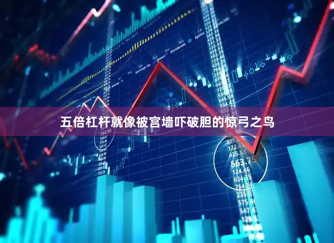 五倍杠杆就像被宫墙吓破胆的惊弓之鸟