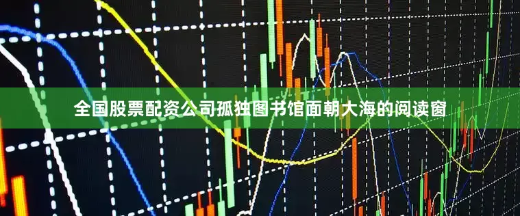全国股票配资公司孤独图书馆面朝大海的阅读窗