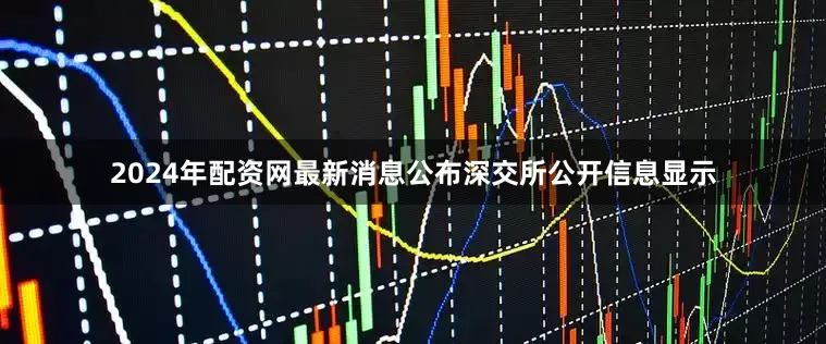 2024年配资网最新消息公布 深交所公开信息显示