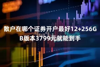 散户在哪个证券开户最好12+256GB版本3799元就能到手