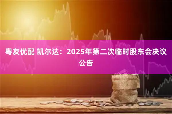 粤友优配 凯尔达：2025年第二次临时股东会决议公告